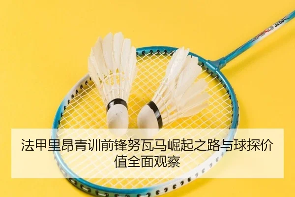 法甲里昂青训前锋努瓦马崛起之路与球探价值全面观察