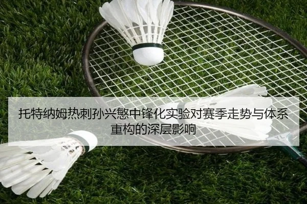 托特纳姆热刺孙兴慜中锋化实验对赛季走势与体系重构的深层影响